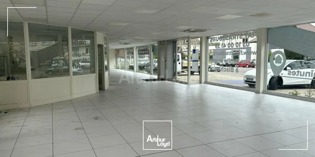 Locaux commerciaux - Location - HAGUENAU - 67500 - 320-320 - 7905899