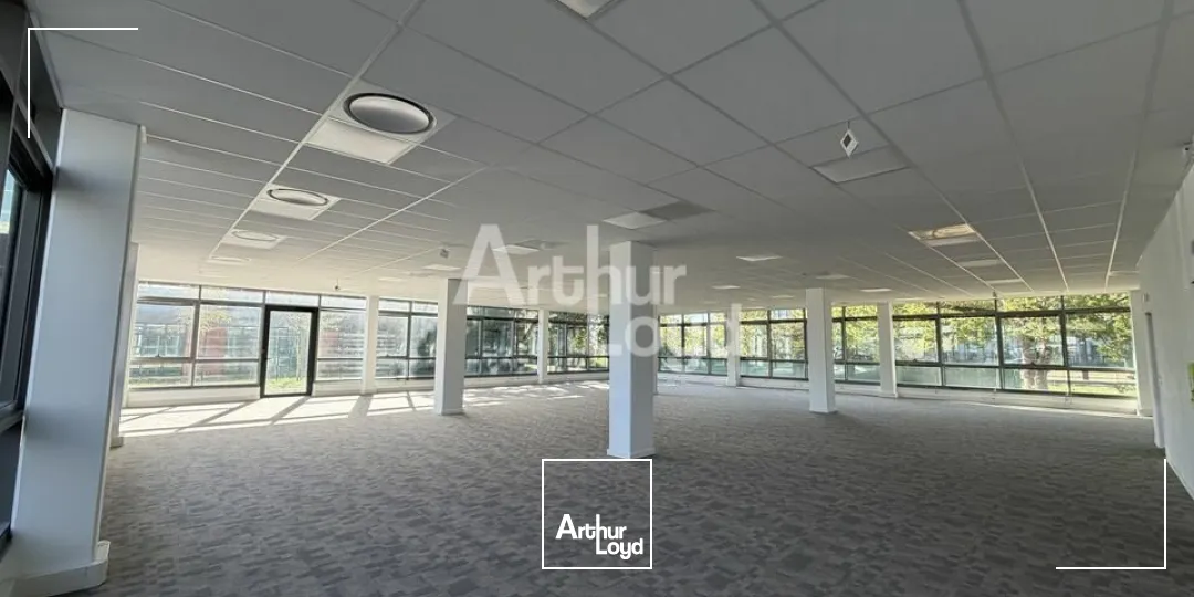 Bureaux - Location - LE MANS - 72000 - 244.1-434.2 - 7905959