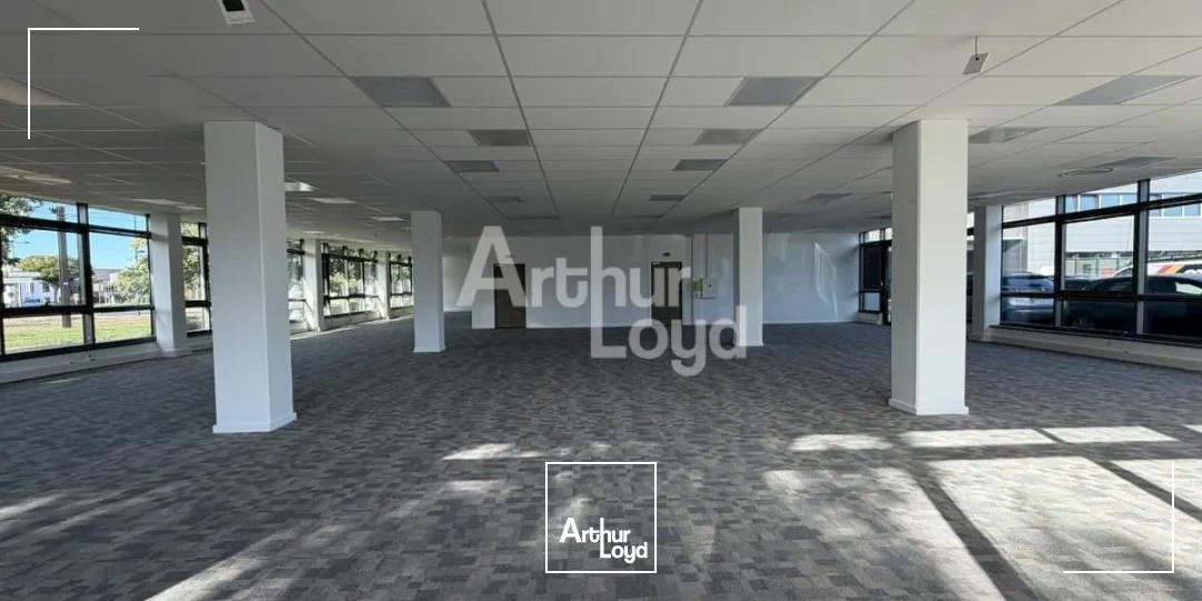 Bureaux - Location - LE MANS - 72000 - 244.1-434.2 - 7905960