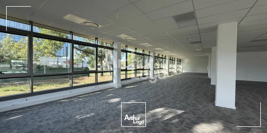 Bureaux - Location - LE MANS - 72000 - 244.1-434.2 - 7905961