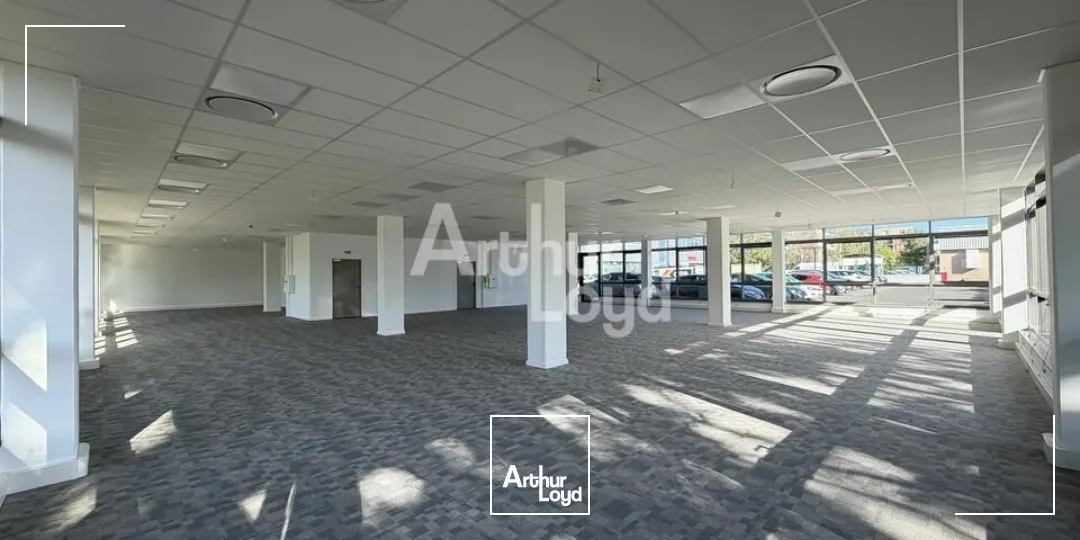 Bureaux - Location - LE MANS - 72000 - 244.1-434.2 - 7905962