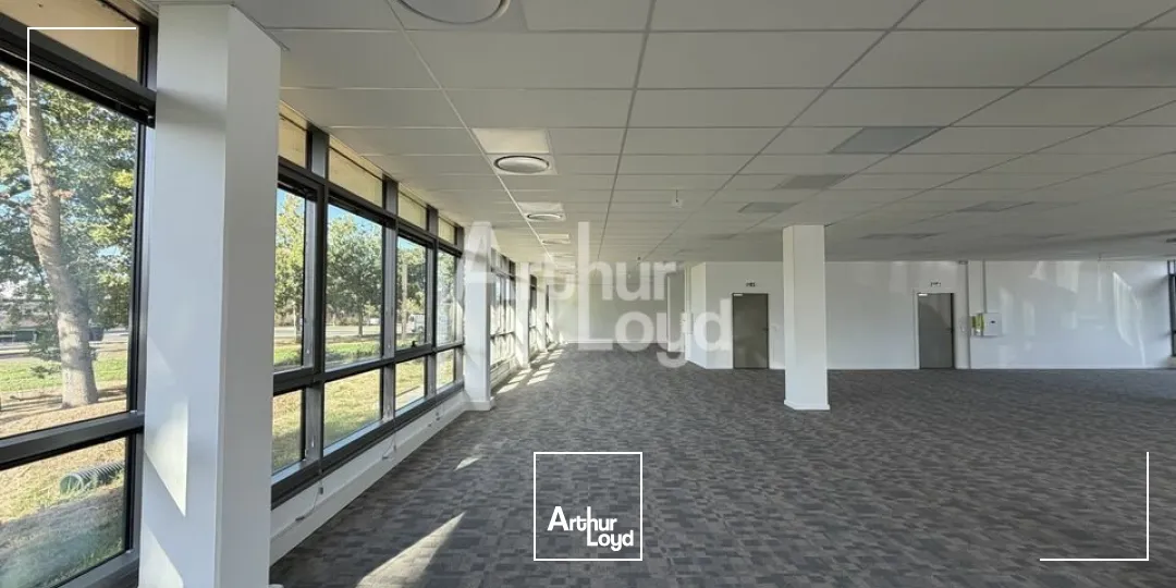 Bureaux - Location - LE MANS - 72000 - 244.1-434.2 - 7905963