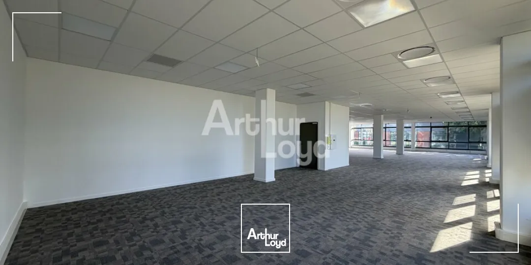 Bureaux - Location - LE MANS - 72000 - 244.1-434.2 - 7905964