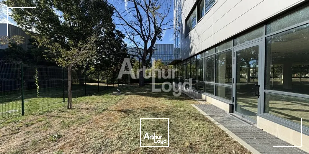 Bureaux - Location - LE MANS - 72000 - 244.1-434.2 - 7905966