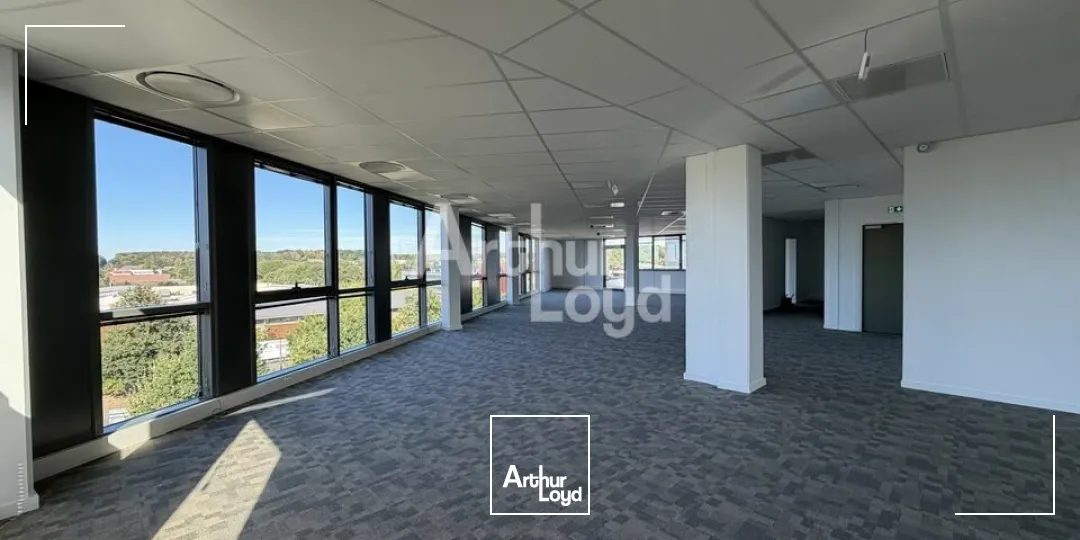 Bureaux - Location - LE MANS - 72000 - 278.3-278.3 - 7905970