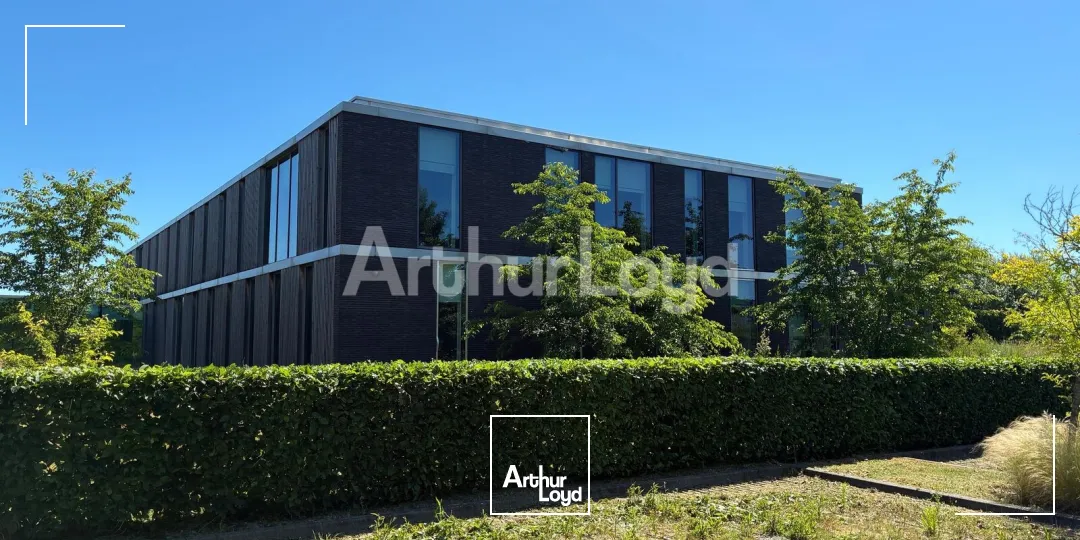 Bureaux - Location - SAINGHIN EN MELANTOIS - 59262 - 1267.35-4017.7 - 7906582