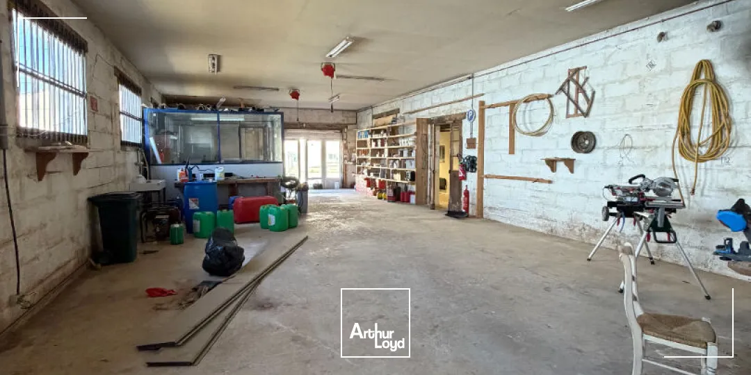 Locaux d'activité & Entrepôts - Vente - SAINT JUNIEN - 87200 - 370-370 - 7906807