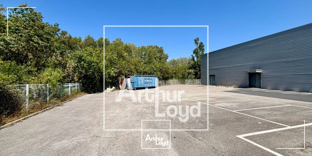 Locaux d'activité & Entrepôts - Location - PEROLS - 34470 - 1900-1900 - 7907165