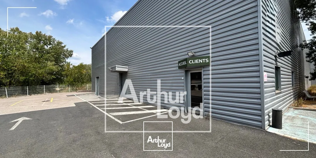 Locaux d'activité & Entrepôts - Location - PEROLS - 34470 - 1900-1900 - 7907166
