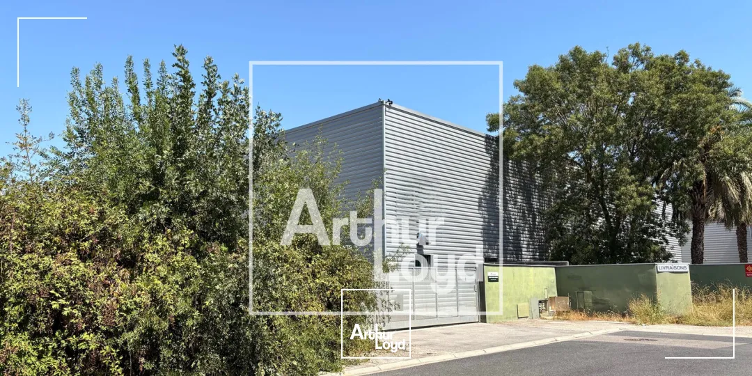 Locaux d'activité & Entrepôts - Location - PEROLS - 34470 - 1900-1900 - 7907162