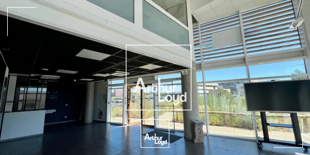 Bureaux - Vente - PEROLS - 34470 - 522-522 - 7907175