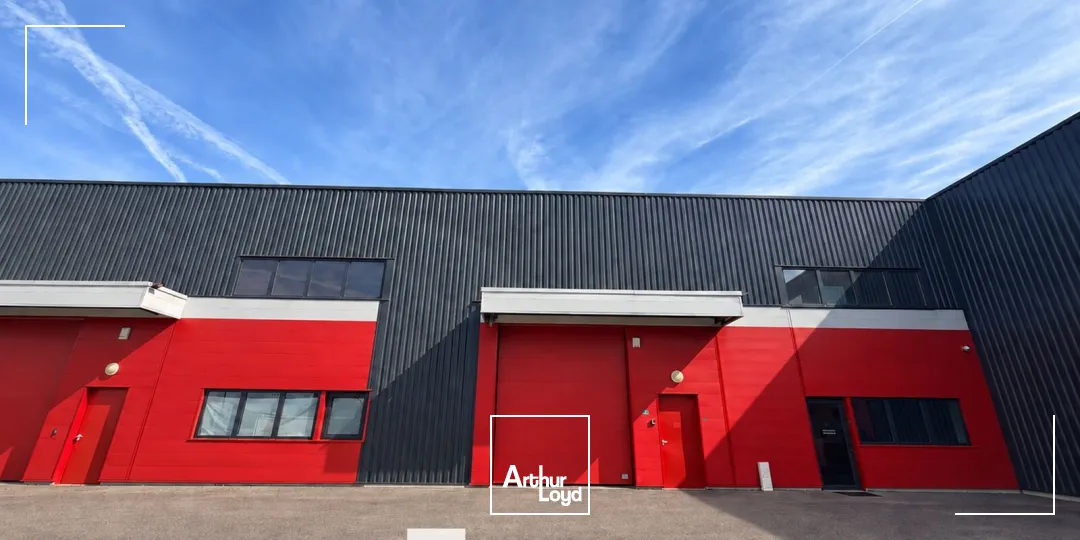 Locaux d'activité & Entrepôts - Vente - COLOMBIER SAUGNIEU - 69124 - 250-250 - 7907645