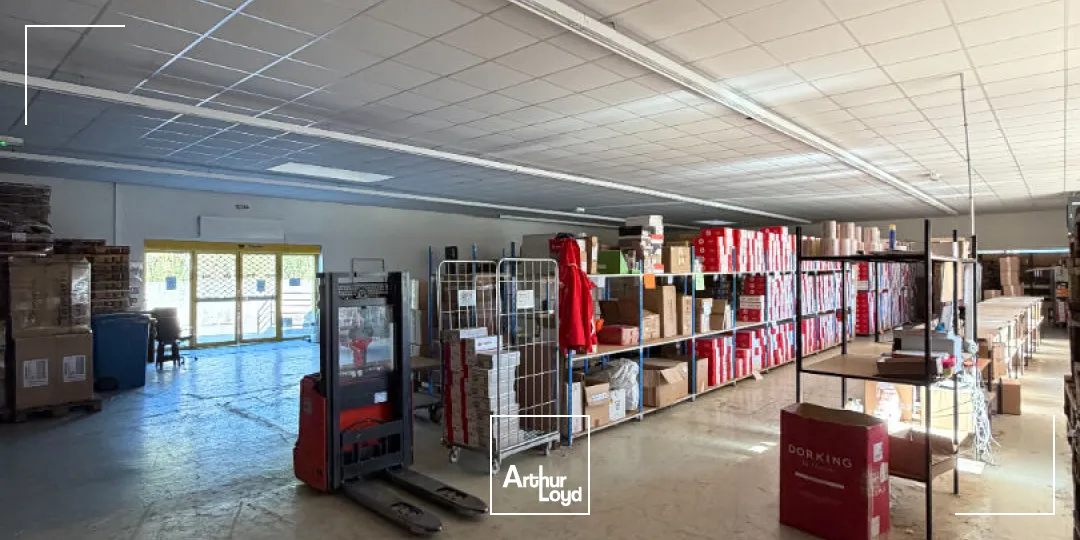 Locaux commerciaux - Location - LIMOGES - 87000 - 1500-1500 - 7907739