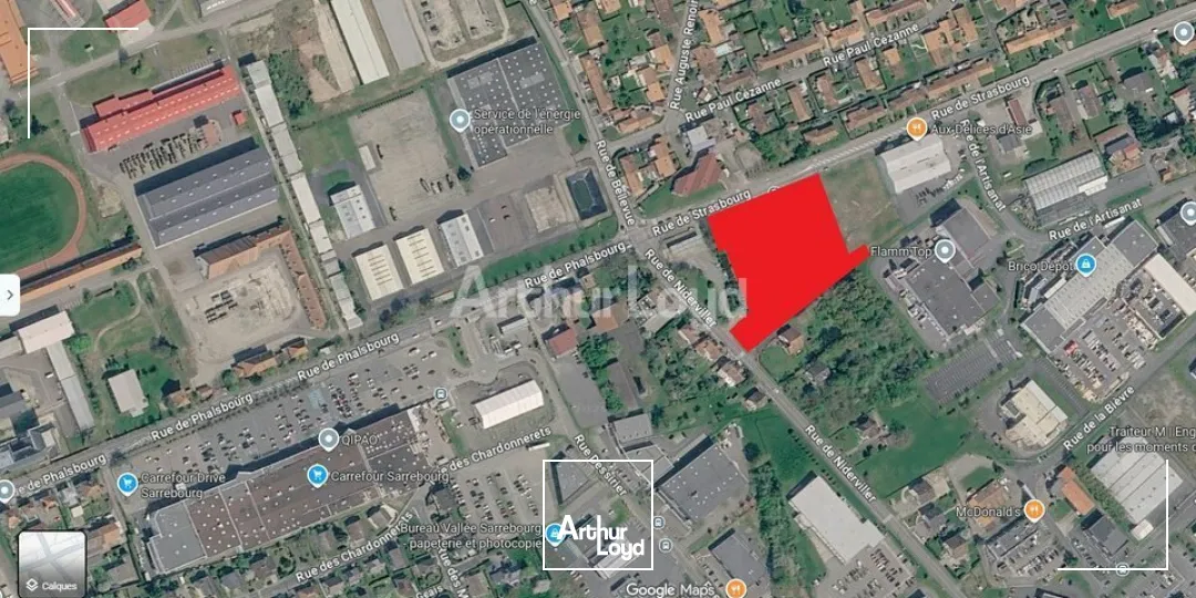 Terrains - Vente - SARREBOURG - 57400 - 8949-8949 - 7908878