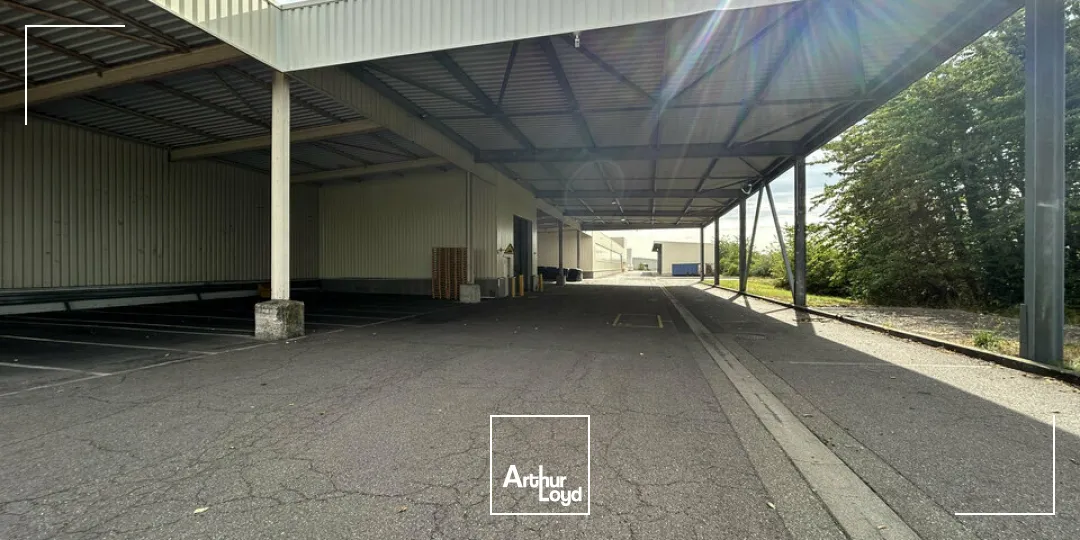Locaux d'activité & Entrepôts - Vente - FAULQUEMONT - 57380 - 17956-17956 - 7908889