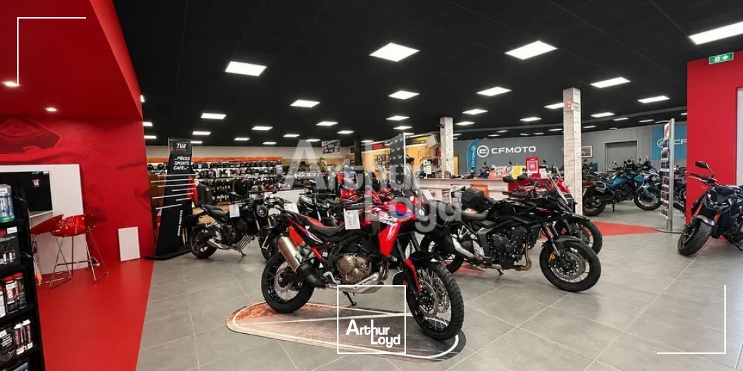 Locaux d'activité & Entrepôts - Location - SAINT-MALO - 35400 - 700-700 - 7908988