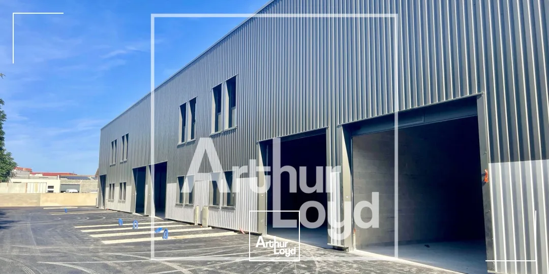 Locaux d'activité & Entrepôts - Vente - LATTES - 34970 - 240.36-1303.3 - 7909062