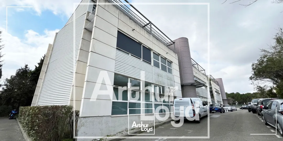 Bureaux - Vente - MONTPELLIER - 34000 - 295-295 - 7909077