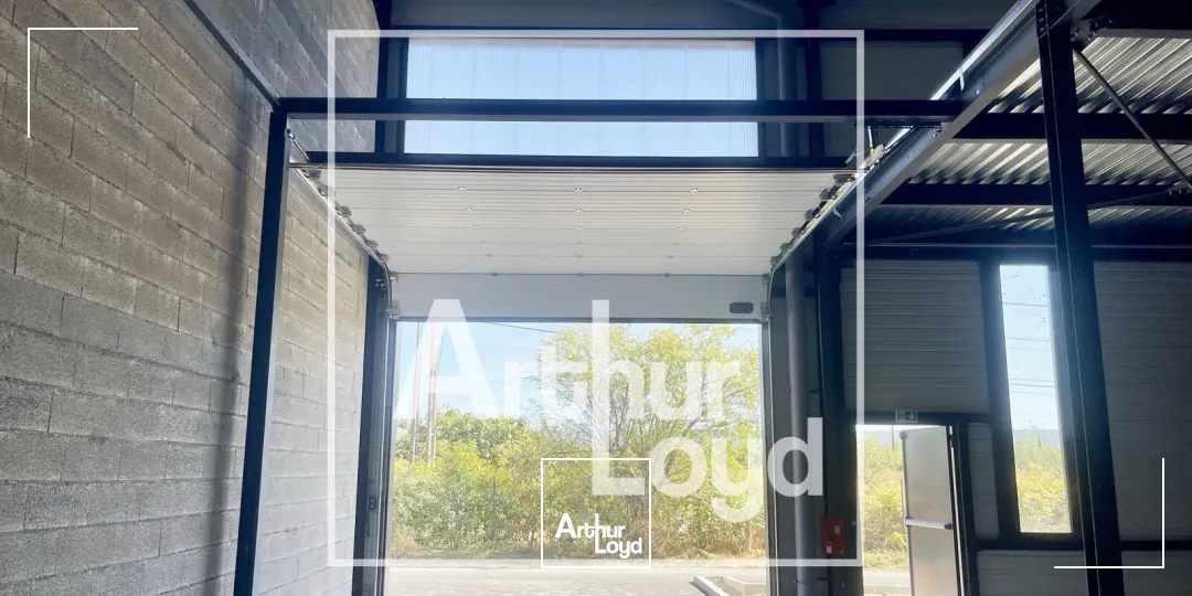 Locaux d'activité & Entrepôts - Location - LATTES - 34970 - 244-244 - 7909099