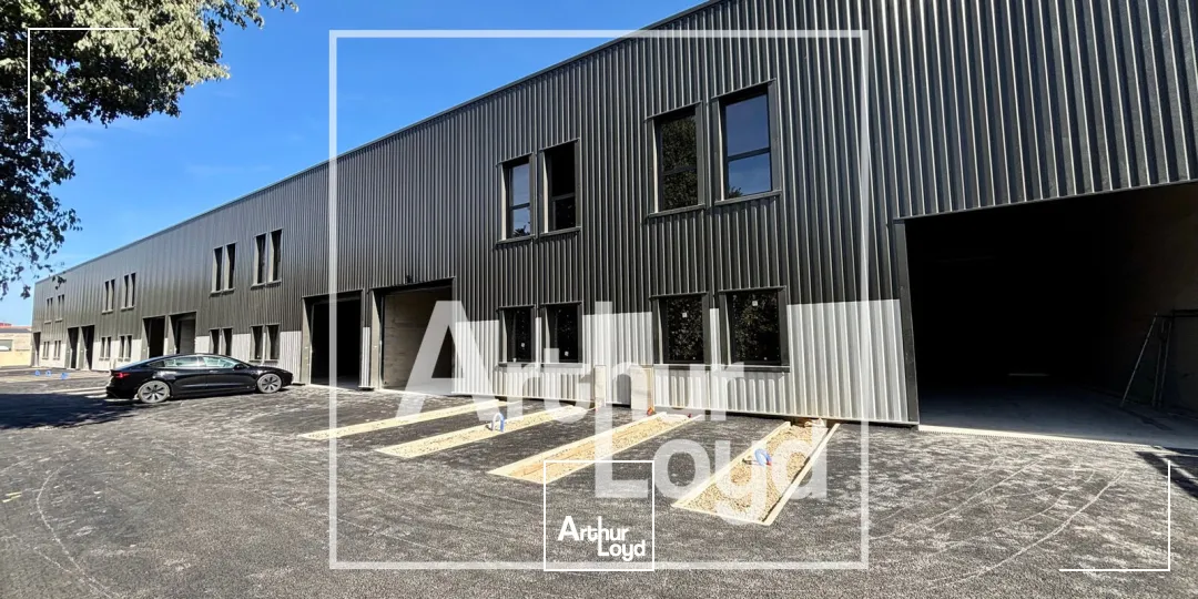 Locaux d'activité & Entrepôts - Location - LATTES - 34970 - 270-270 - 7909101