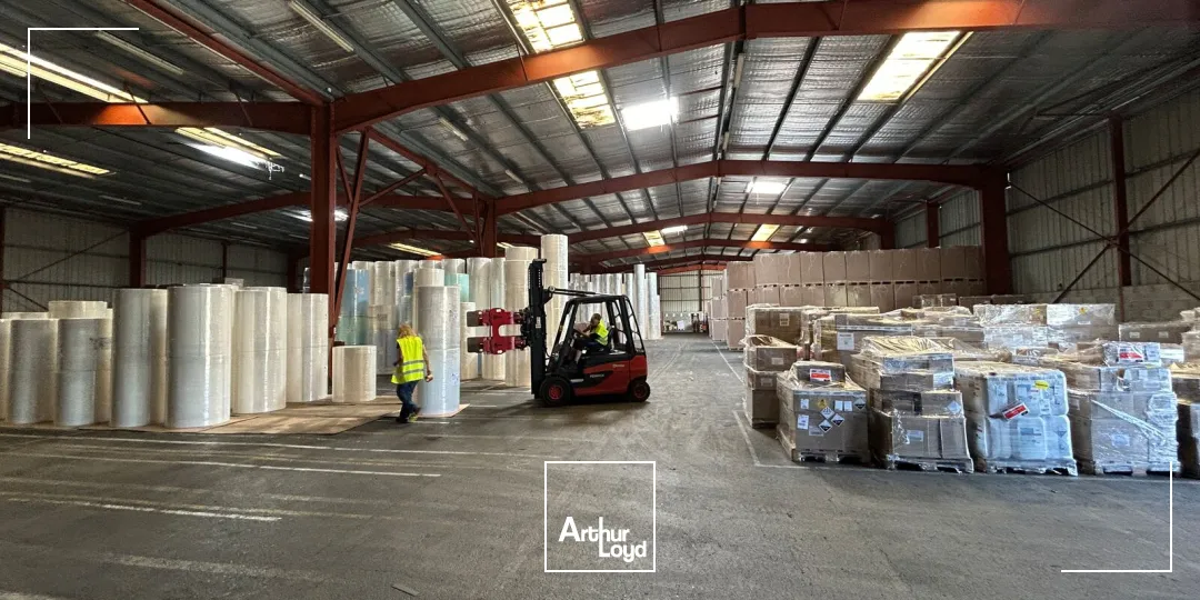 Locaux d'activité & Entrepôts - Location - PERPIGNAN - 66000 - 3200-3200 - 7909436