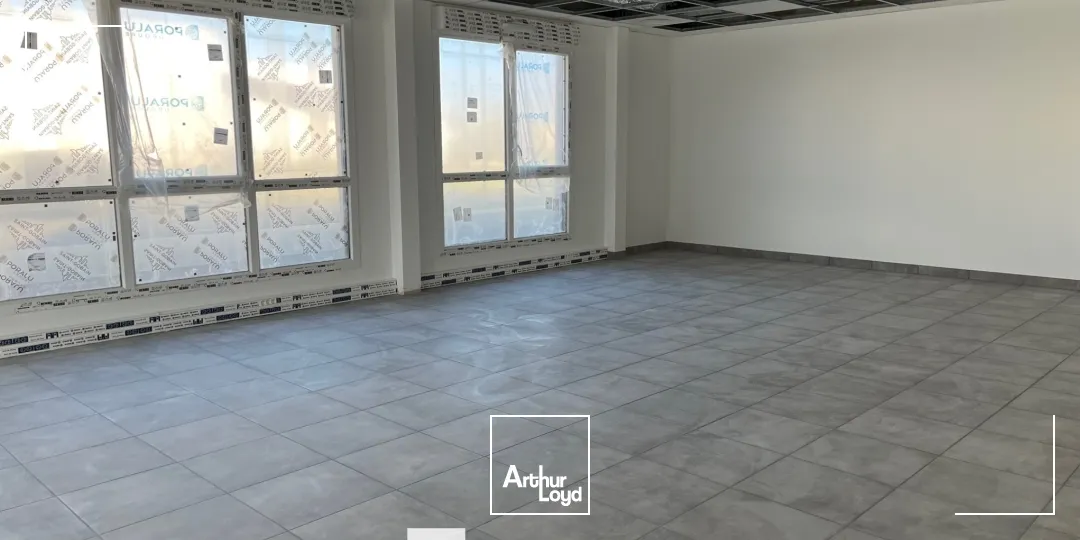 Locaux d'activité & Entrepôts - Location - GENAY - 69730 - 292.6-585.2 - 7909746