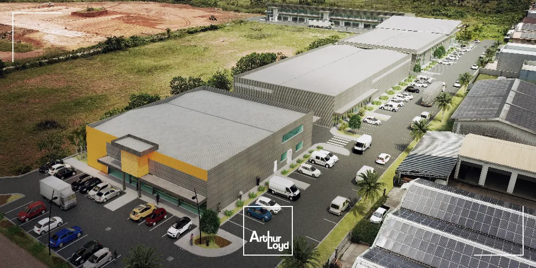 Locaux commerciaux - Location - Cayenne - 97300 - 1800-1800 - 7909820