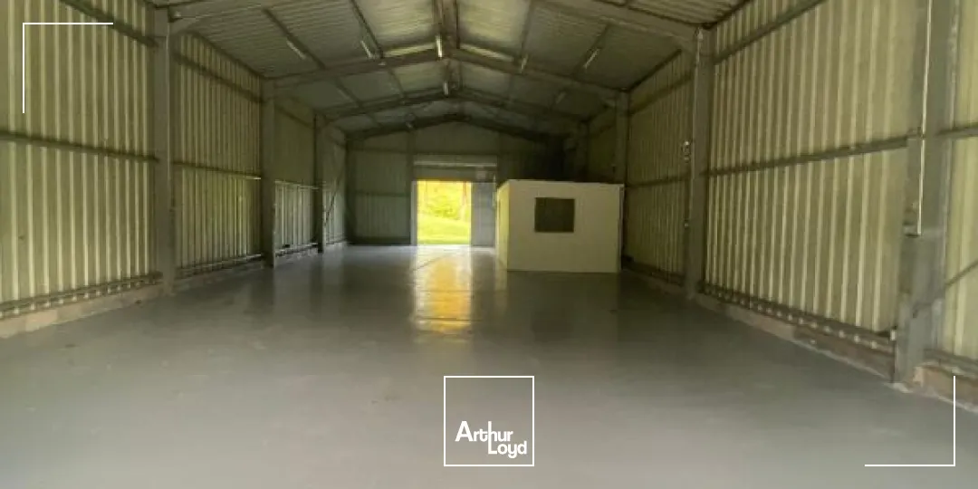 Locaux d'activité & Entrepôts - Location - Le Lamentin - 97232 - 250-250 - 7909824