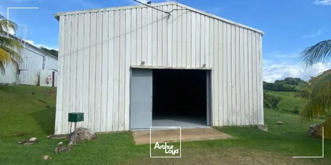 Locaux d'activité & Entrepôts - Location - Le Lamentin - 97232 - 250-250 - 7909823