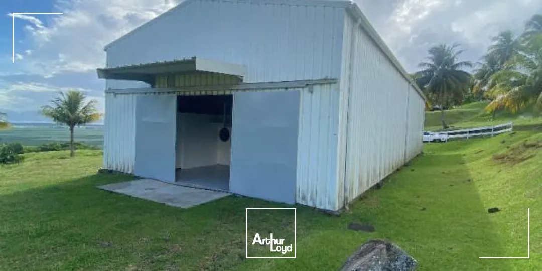 Locaux d'activité & Entrepôts - Location - Le Lamentin - 97232 - 250-250 - 7909822