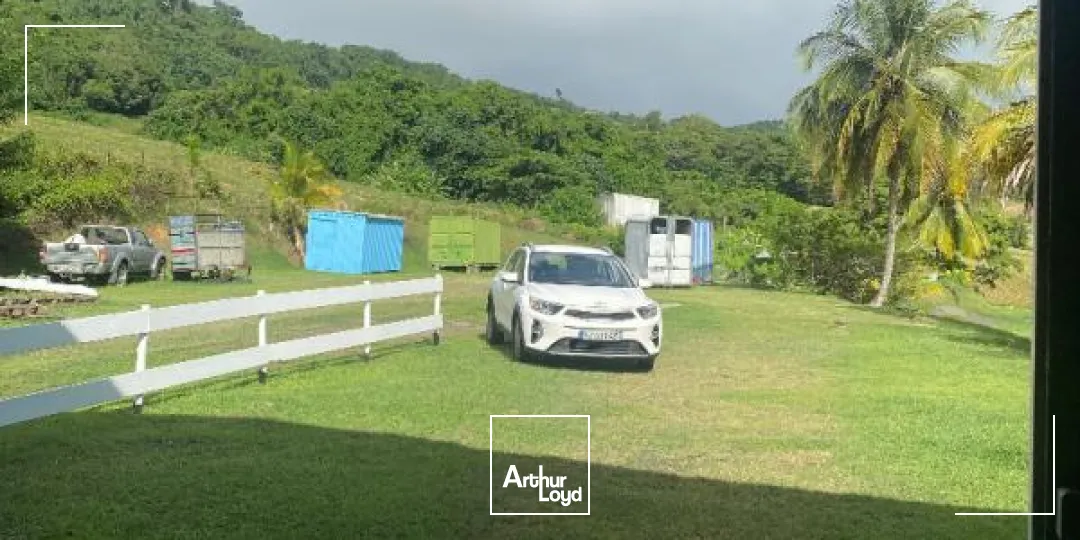 Locaux d'activité & Entrepôts - Location - Le Lamentin - 97232 - 250-250 - 7909833