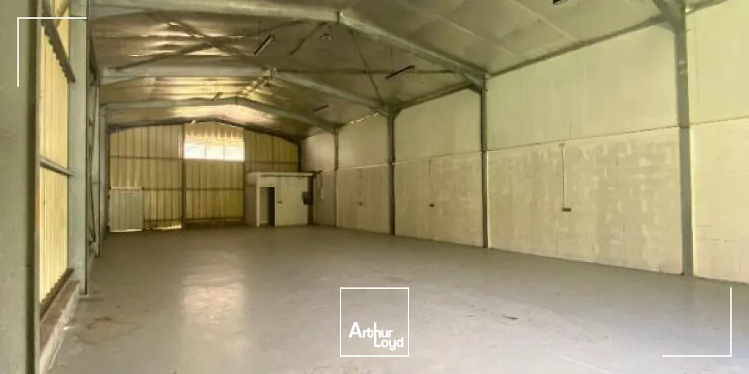Locaux d'activité & Entrepôts - Location - Le Lamentin - 97232 - 250-250 - 7909831