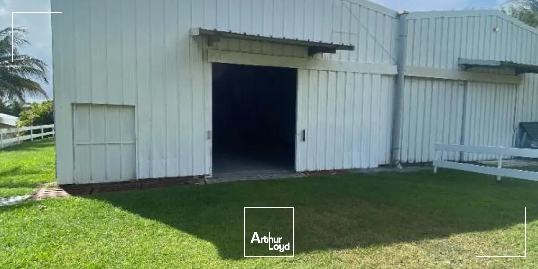 Locaux d'activité & Entrepôts - Location - Le Lamentin - 97232 - 250-250 - 7909829