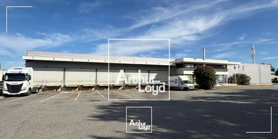 Locaux d'activité & Entrepôts - Location - TOULOUSE - 31200 - 2124-2124 - 7910444