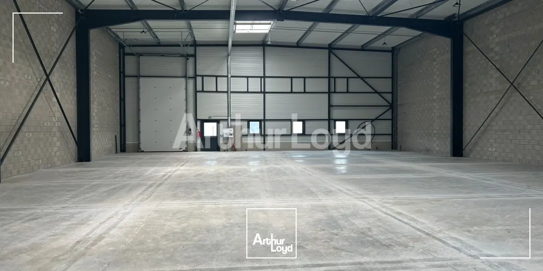 Locaux d'activité & Entrepôts - Location - SARS ET ROSIERES - 59230 - 2940-2940 - 7910479