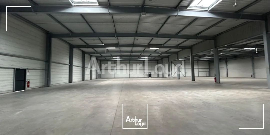 Locaux d'activité & Entrepôts - Location - SARS ET ROSIERES - 59230 - 2940-2940 - 7910481