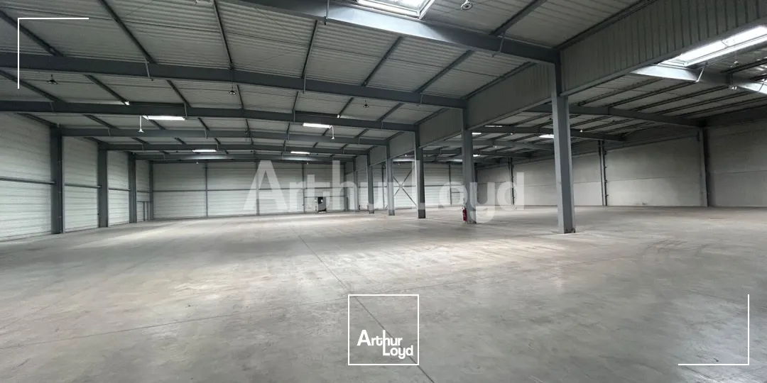 Locaux d'activité & Entrepôts - Location - SARS ET ROSIERES - 59230 - 2940-2940 - 7910483