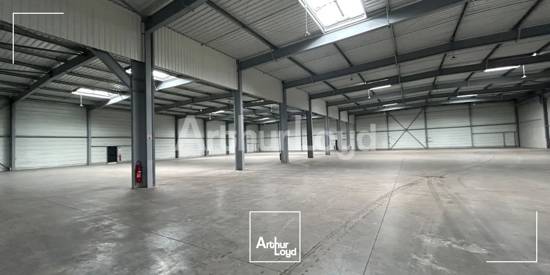 Locaux d'activité & Entrepôts - Location - SARS ET ROSIERES - 59230 - 2940-2940 - 7910484