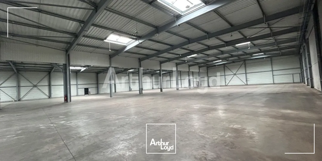 Locaux d'activité & Entrepôts - Location - SARS ET ROSIERES - 59230 - 2940-2940 - 7910485