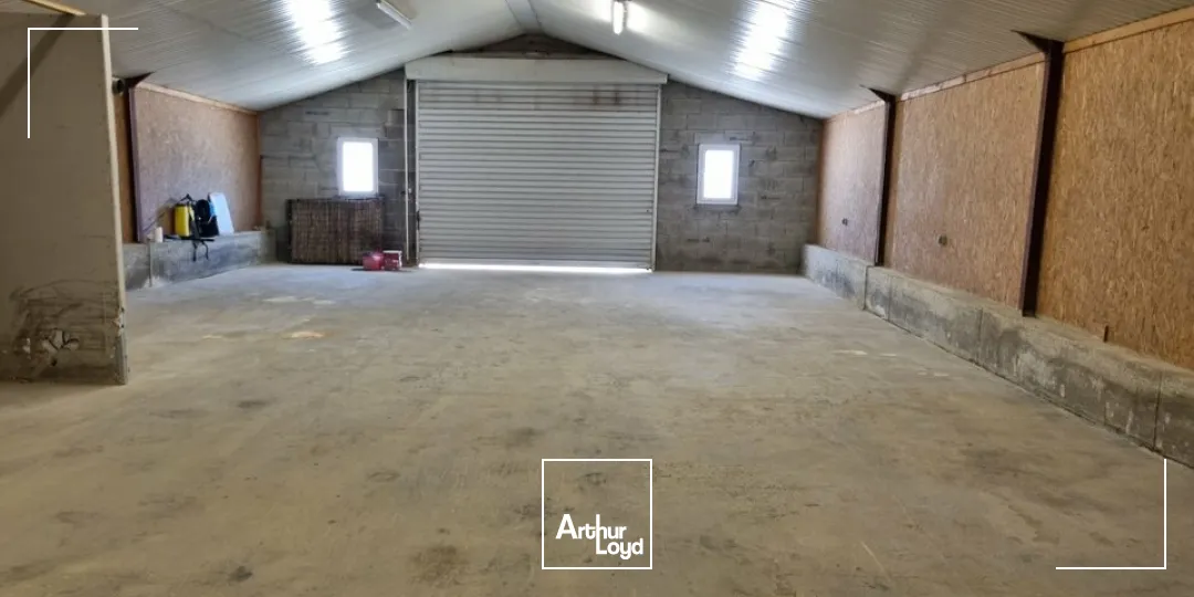 Locaux d'activité & Entrepôts - Vente - SAINT GEORGES LES BAILLARGEAUX - 86130 - 342-342 - 7911756