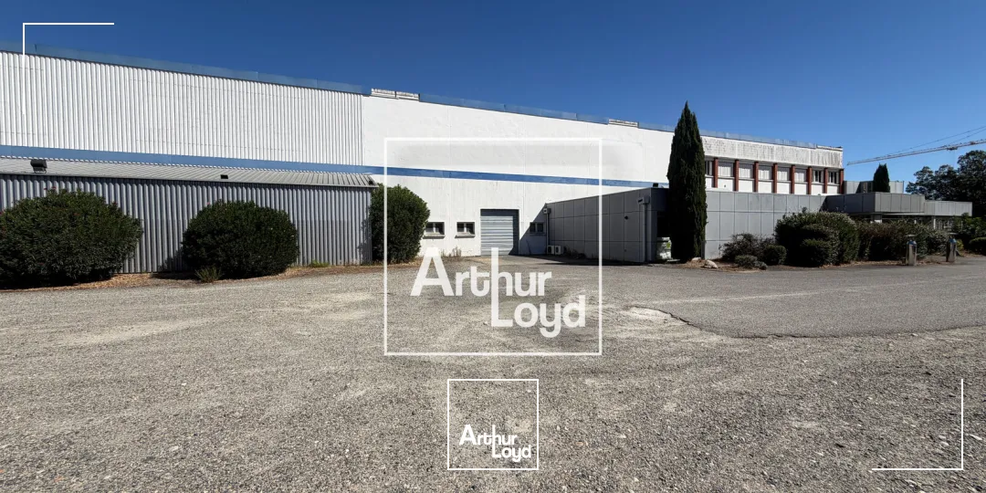 Locaux d'activité & Entrepôts - Location - LESPINASSE - 31150 - 4268-4268 - 7912281