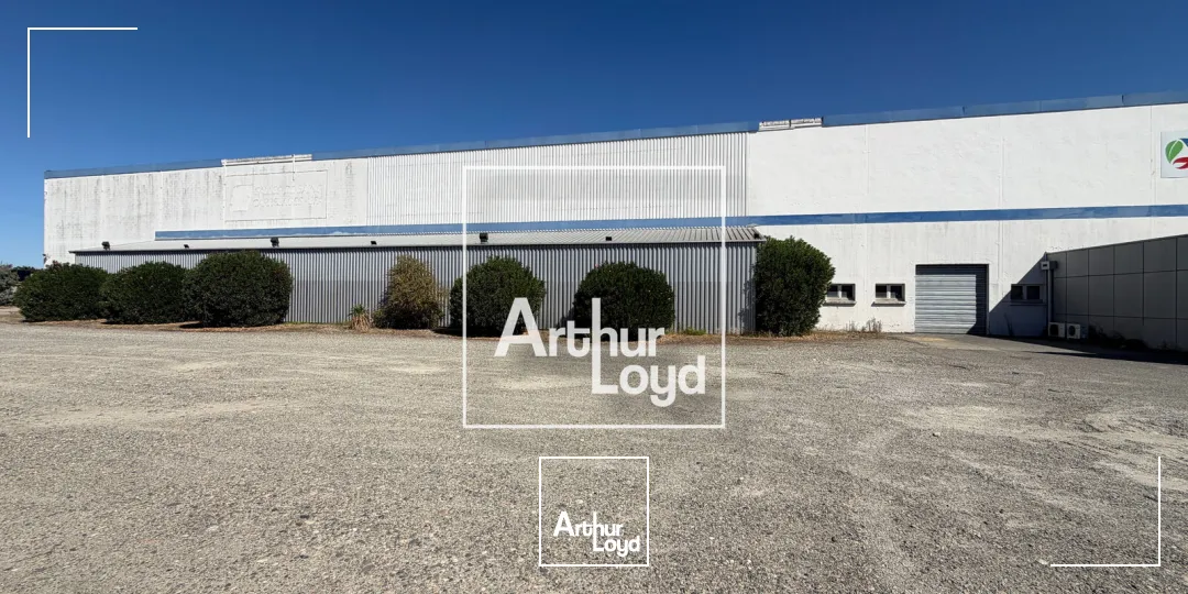 Locaux d'activité & Entrepôts - Location - LESPINASSE - 31150 - 4268-4268 - 7912282