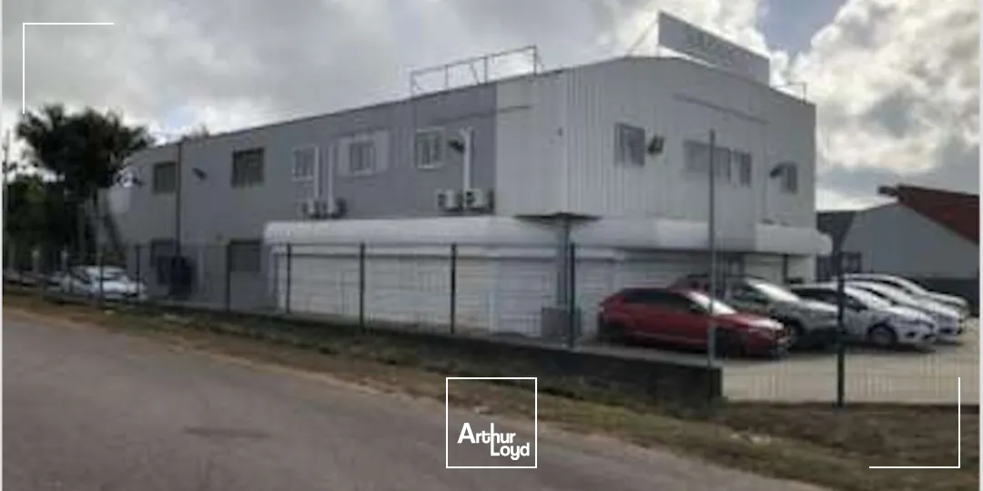 Locaux commerciaux - Location - Cayenne - 97300 - 720-720 - 7912546
