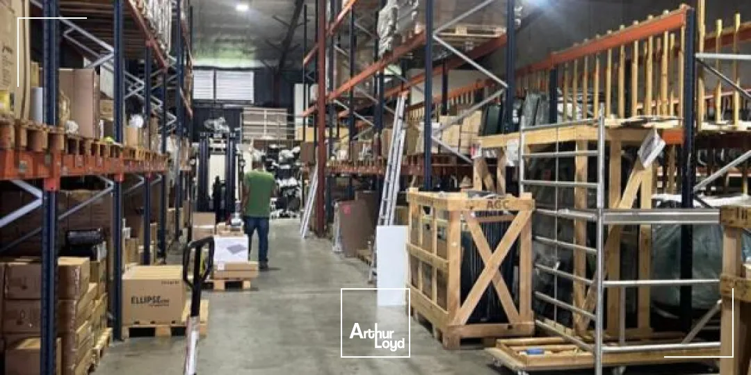 Locaux d'activité & Entrepôts - Location - Le Lamentin - 97232 - 960-960 - 7912542