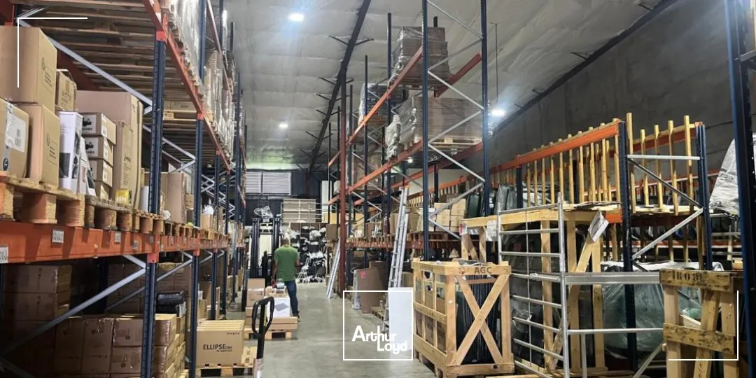 Locaux d'activité & Entrepôts - Location - Le Lamentin - 97232 - 960-960 - 7912541