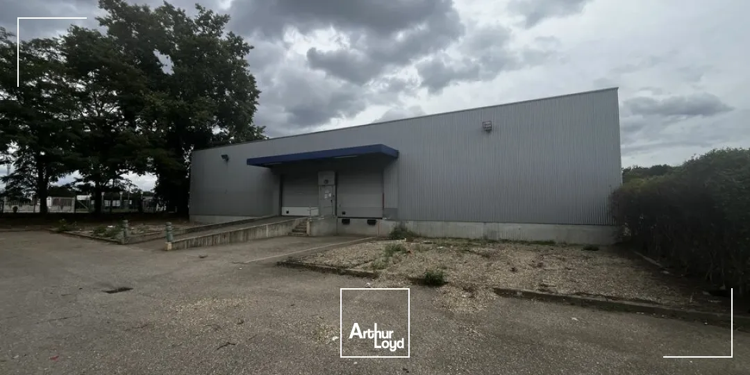 Locaux d'activité & Entrepôts - Location - OSTWALD - 67540 - 1592-1592 - 7912609