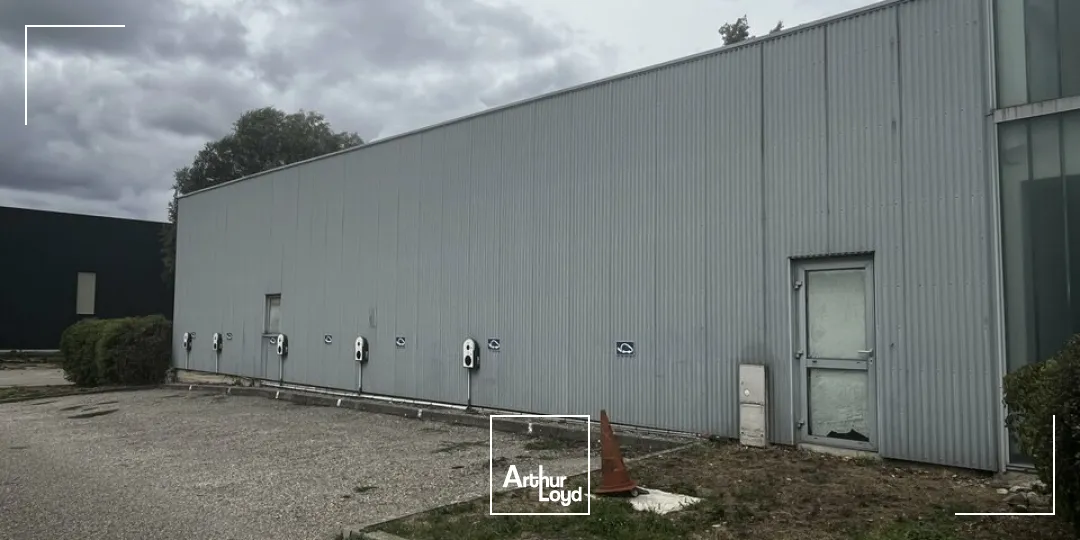 Locaux d'activité & Entrepôts - Location - OSTWALD - 67540 - 1592-1592 - 7912610