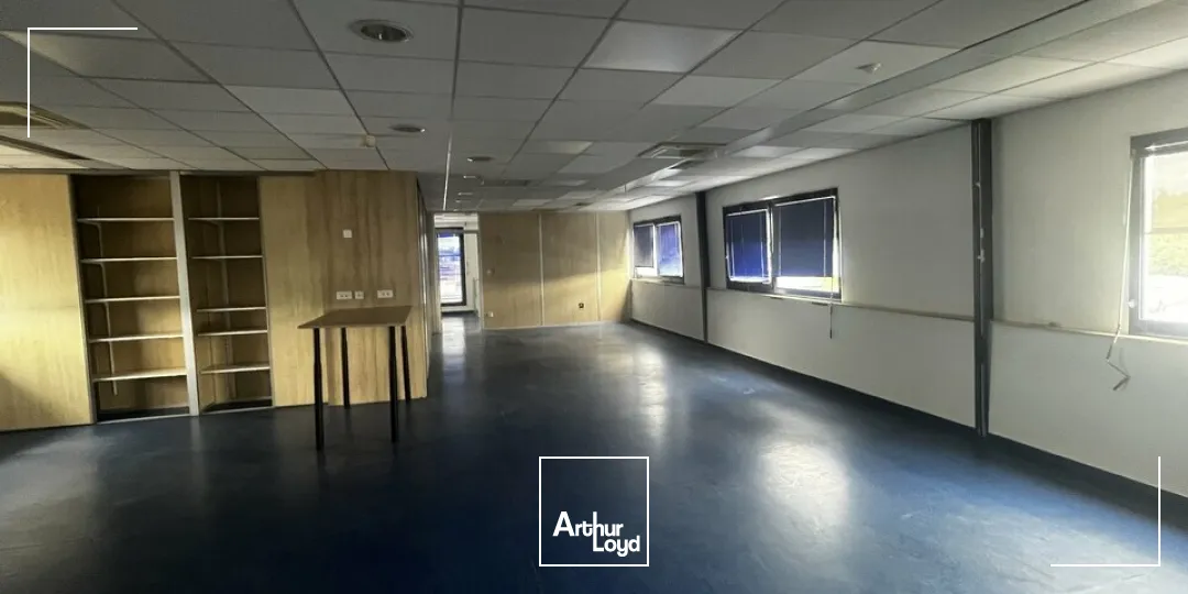 Locaux d'activité & Entrepôts - Location - OSTWALD - 67540 - 1592-1592 - 7912617