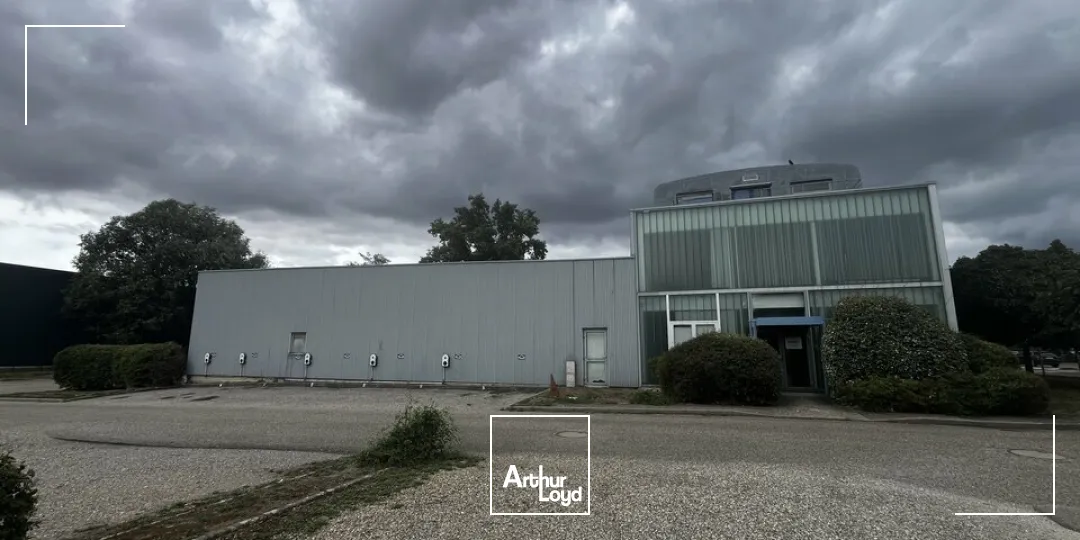 Locaux d'activité & Entrepôts - Location - OSTWALD - 67540 - 1592-1592 - 7912613
