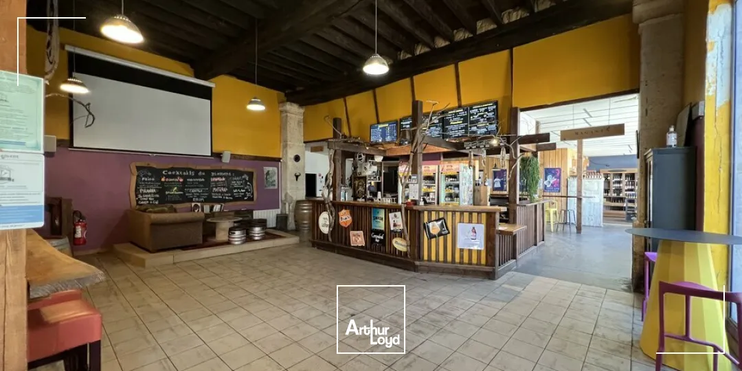Locaux commerciaux - Location - ANGOULEME - 16000 - 567-567 - 7912931